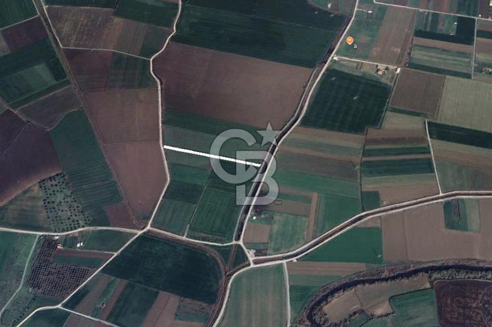 Menemen Türkelide Satılık Müstakil Tapulu Bağ Evi