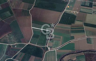 Menemen Türkelide Satılık Müstakil Tapulu Bağ Evi