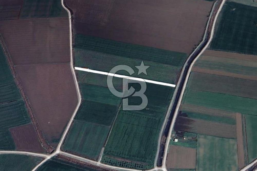 Menemen Türkelide Satılık Müstakil Tapulu Bağ Evi