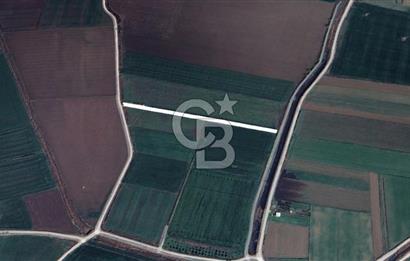 Menemen Türkelide Satılık Müstakil Tapulu Bağ Evi