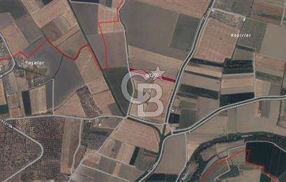 Menemen Türkelide Satılık Müstakil Tapulu Bağ Evi