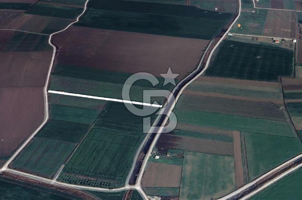 Menemen Türkelide Satılık Müstakil Tapulu Bağ Evi