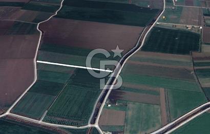 Menemen Türkelide Satılık Müstakil Tapulu Bağ Evi