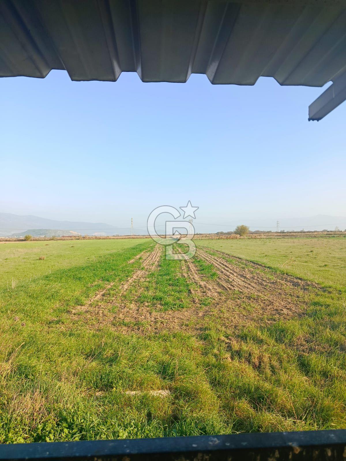 Menemen Türkelide Satılık Müstakil Tapulu Bağ Evi