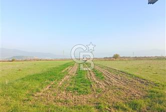 Menemen Türkelide Satılık Müstakil Tapulu Bağ Evi - 5 - 326511