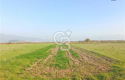 Menemen Türkelide Satılık Müstakil Tapulu Bağ Evi