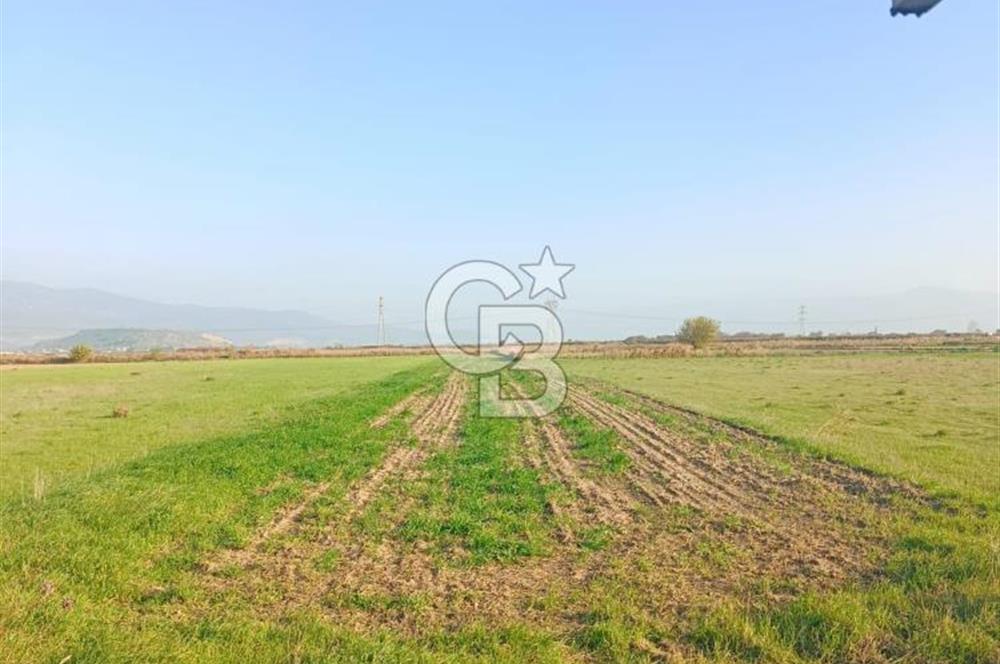 Menemen Türkelide Satılık Müstakil Tapulu Bağ Evi