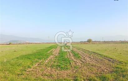 Menemen Türkelide Satılık Müstakil Tapulu Bağ Evi