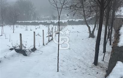 SAFRANBOLU KONARI KÖYÜNDE SATILIK BAHÇE 