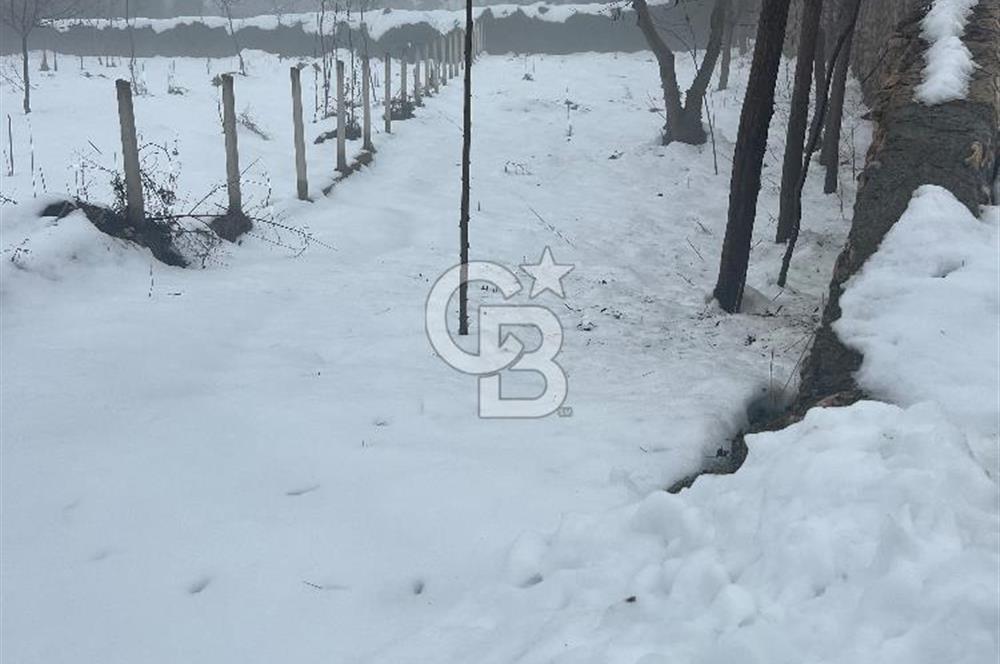 SAFRANBOLU KONARI KÖYÜNDE SATILIK BAHÇE 