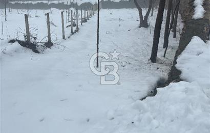 SAFRANBOLU KONARI KÖYÜNDE SATILIK BAHÇE 