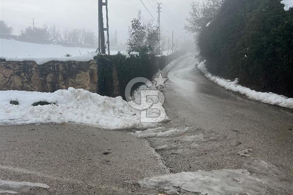 SAFRANBOLU KONARI KÖYÜNDE SATILIK BAHÇE 