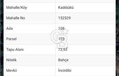 SAFRANBOLU KADIBÜKÜ KÖYÜNDE SATILIK BAHÇE 