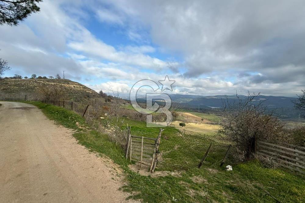 Çanakkale Merkez Ulupınar Köyünde Satılık 450 M² Koop Hissesi !