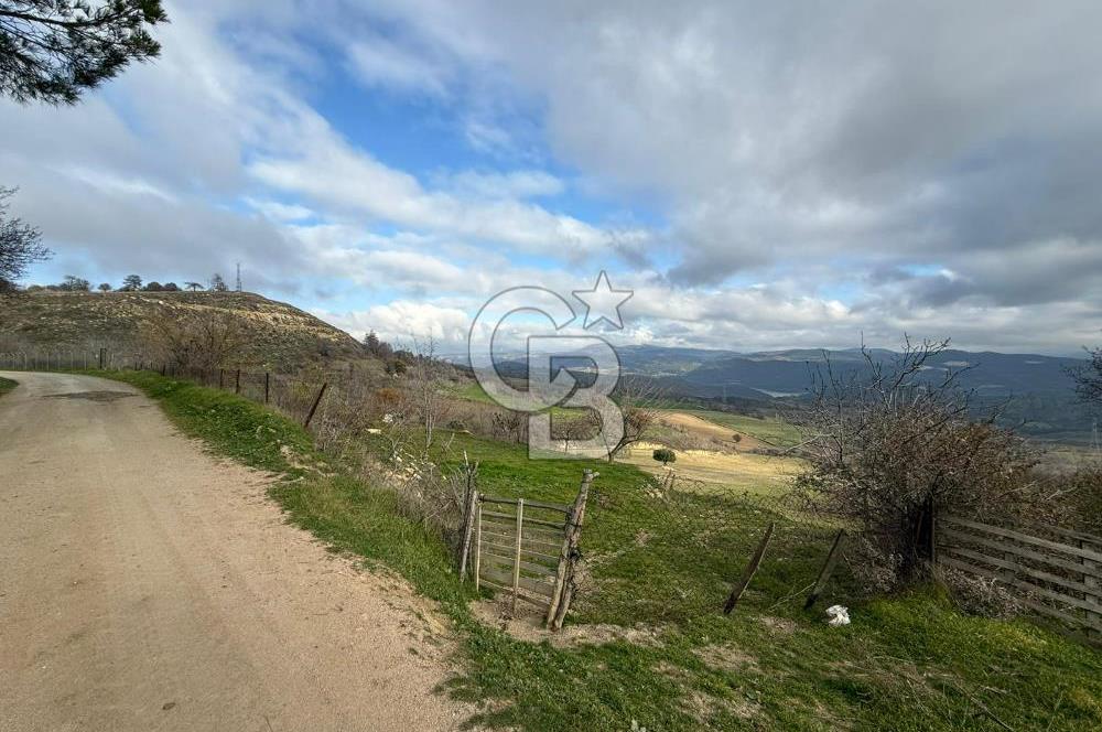 Çanakkale Merkez Ulupınar Köyünde Satılık 450 M² Koop Hissesi !