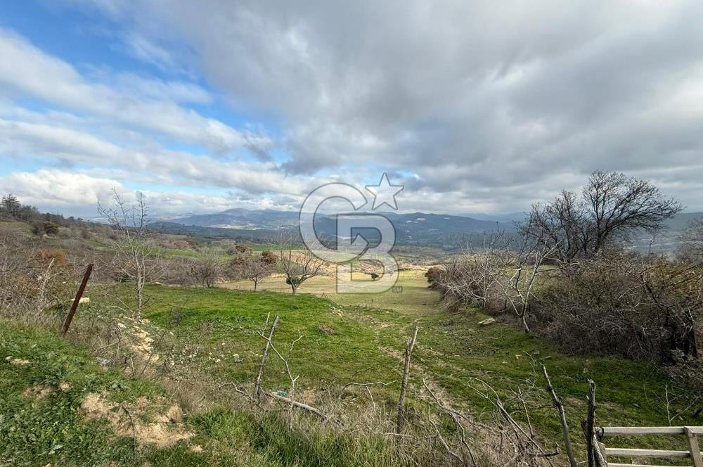 Çanakkale Merkez Ulupınar Köyünde Satılık 450 M² Koop Hissesi !