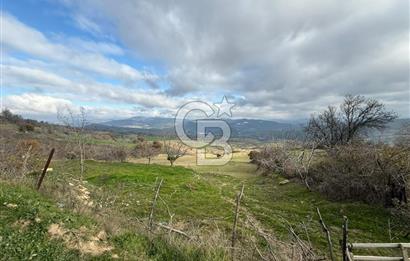 Çanakkale Merkez Ulupınar Köyünde Satılık 450 M² Koop Hissesi !