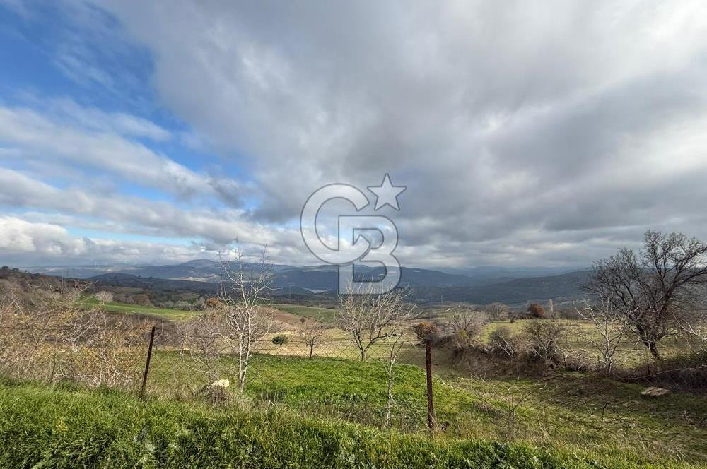 Çanakkale Merkez Ulupınar Köyünde Satılık 450 M² Koop Hissesi !