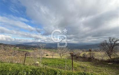 Çanakkale Merkez Ulupınar Köyünde Satılık 450 M² Koop Hissesi !