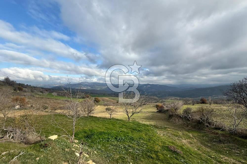 Çanakkale Merkez Ulupınar Köyünde Satılık 450 M² Koop Hissesi !