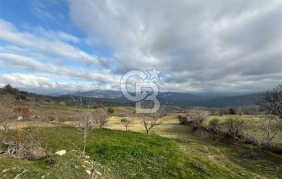 Çanakkale Merkez Ulupınar Köyünde Satılık 450 M² Koop Hissesi !