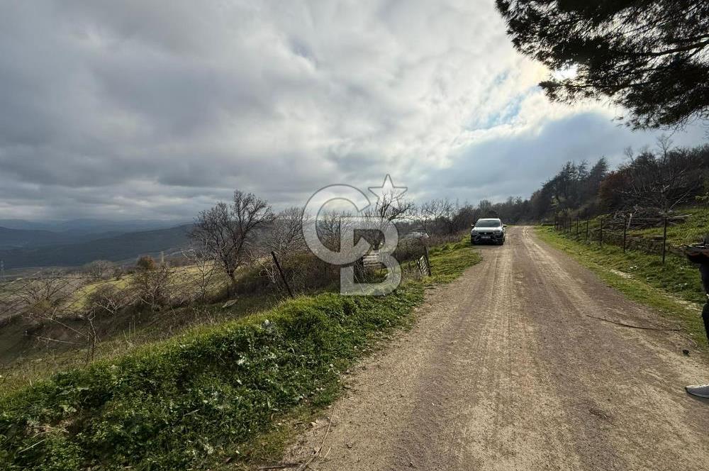 Çanakkale Merkez Ulupınar Köyünde Satılık 450 M² Koop Hissesi !