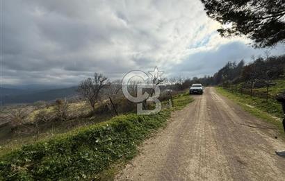 Çanakkale Merkez Ulupınar Köyünde Satılık 450 M² Koop Hissesi !