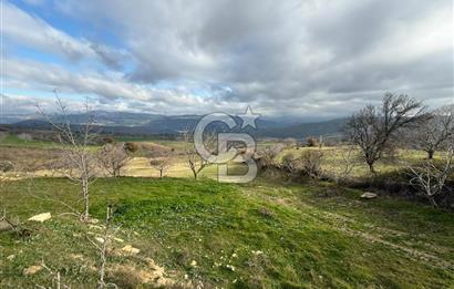 Çanakkale Merkez Ulupınar Köyünde Satılık 450 M² Koop Hissesi !