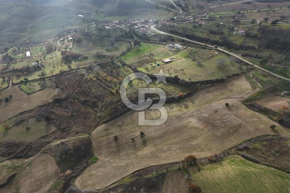 Çanakkale Merkez Ulupınar Köyünde Satılık 450 M² Koop Hissesi !