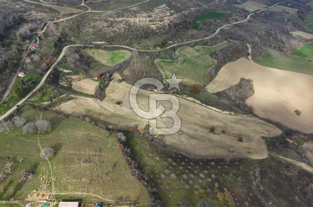 Çanakkale Merkez Ulupınar Köyünde Satılık 450 M² Koop Hissesi !