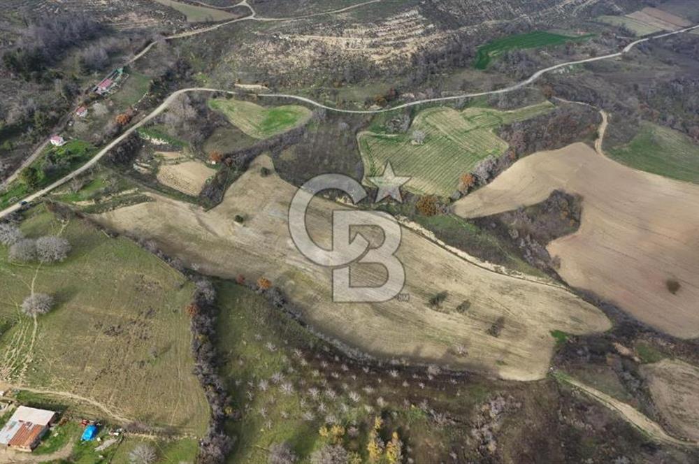 Çanakkale Merkez Ulupınar Köyünde Satılık 450 M² Koop Hissesi !