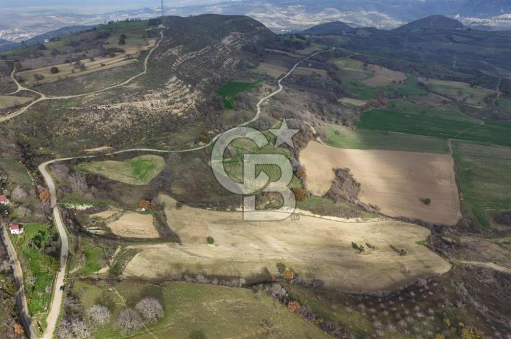 Çanakkale Merkez Ulupınar Köyünde Satılık 450 M² Koop Hissesi !