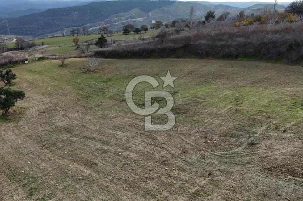 Çanakkale Merkez Ulupınar Köyünde Satılık 450 M² Koop Hissesi !