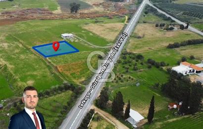 Serhatköy'de Tek Konut Yapımına Uygun Satılık Arazi !!!