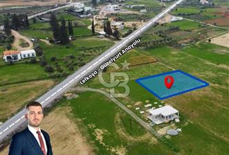 Serhatköy'de Tek Konut Yapımına Uygun Satılık Arazi !!! - 1 - 326513