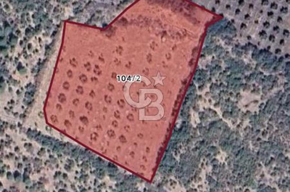 Bergama Sarıcalarda 8.579,57 m² Tek Tapulu, Manzaralı Tarla