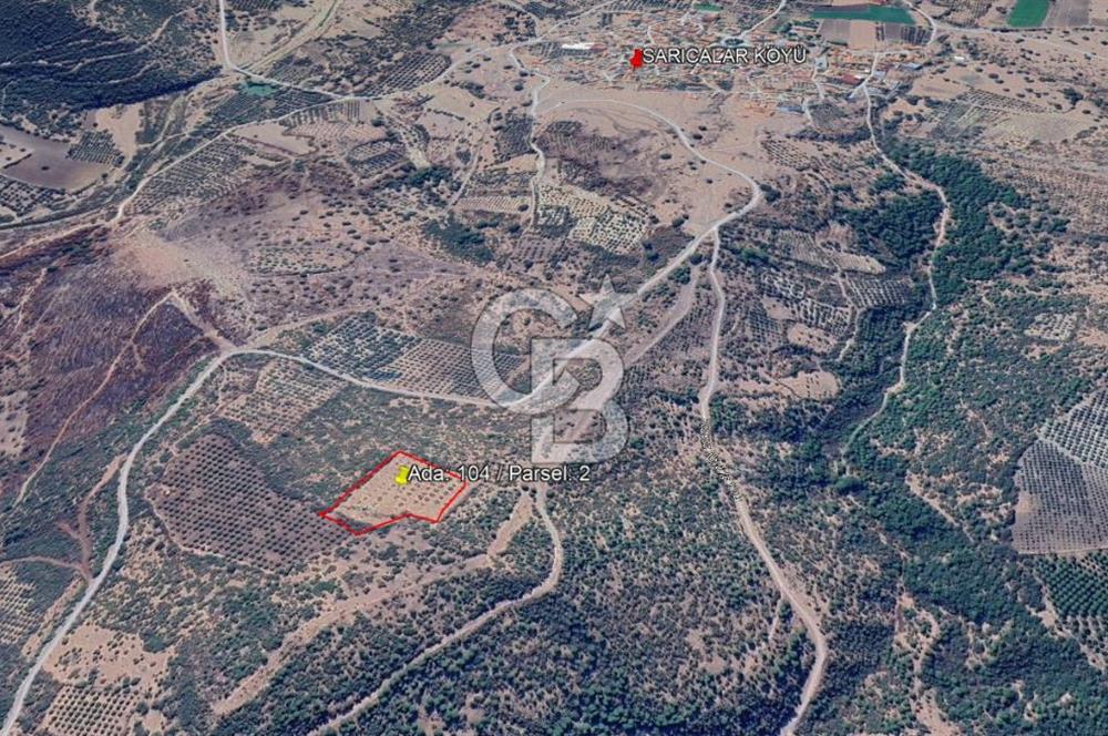 Bergama Sarıcalarda 8.579,57 m² Tek Tapulu, Manzaralı Tarla
