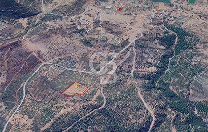 Bergama Sarıcalarda 8.579,57 m² Tek Tapulu, Manzaralı Tarla