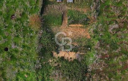 1293325051 AKÇAKOCA DA 2964 M2 TURİZM İMARLI SATILIK ARSA VE YAPI 