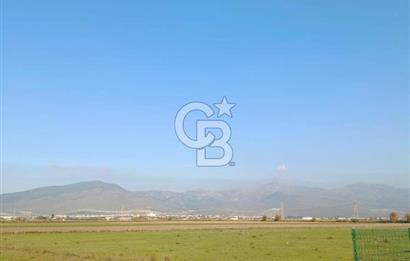 Menemen Türkelide Satılık Müstakil Tapulu Bağ Evi