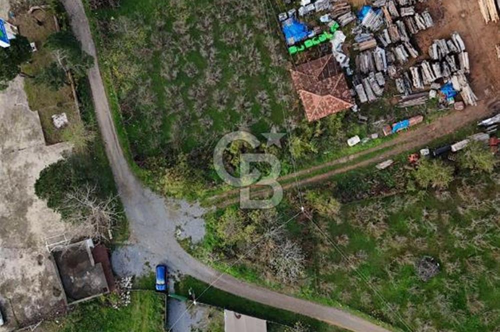 1293325051 AKÇAKOCA DA 2964 M2 TURİZM İMARLI SATILIK ARSA VE YAPI 