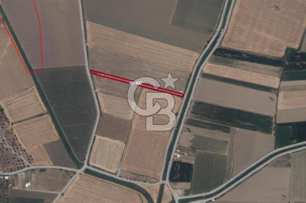 Menemen Türkelide Satılık Müstakil Tapulu Bağ Evi