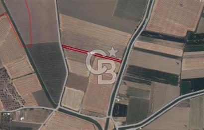 Menemen Türkelide Satılık Müstakil Tapulu Bağ Evi