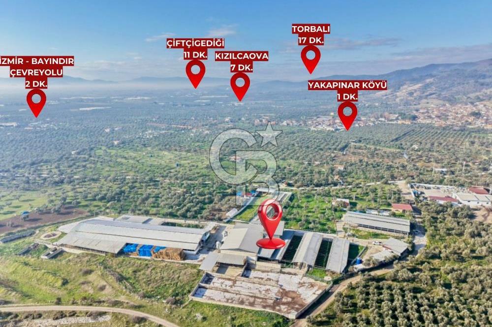 Bayındır Yakapınar'da Satılık Büyükbaş Hayvan Çiftliği