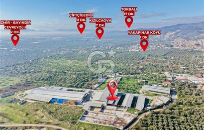 Bayındır Yakapınar'da Satılık Büyükbaş Hayvan Çiftliği