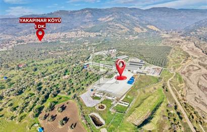 Bayındır Yakapınar'da Satılık Büyükbaş Hayvan Çiftliği