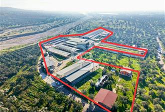 Bayındır Yakapınar'da Satılık Büyükbaş Hayvan Çiftliği - 1 - 326574