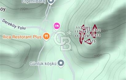 Bayındır Ergenli'de Satılık Verimli Zeytinlik