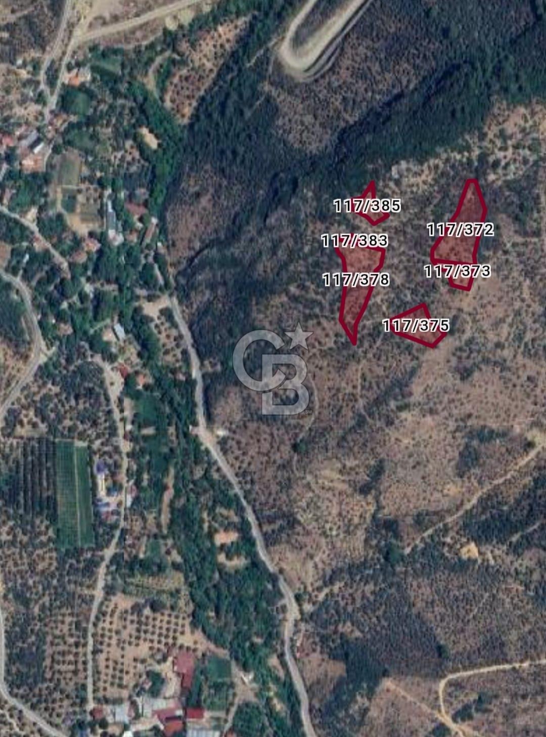 Bayındır Ergenli'de Satılık Verimli Zeytinlik