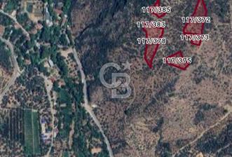 Bayındır Ergenli'de Satılık Verimli Zeytinlik - 1 - 326565